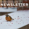 UG newsletter
